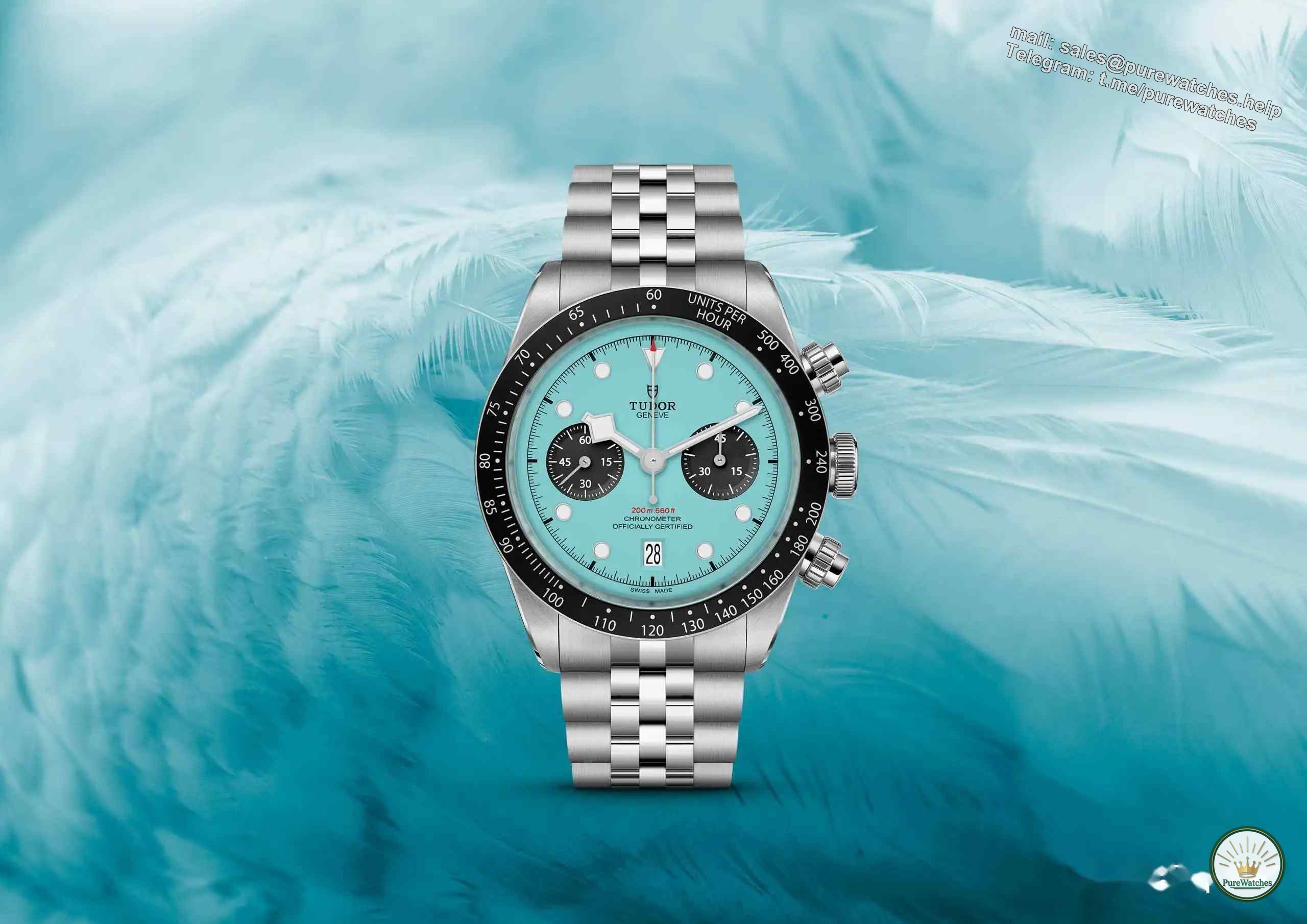 Tudor Flamingo Blue Watch, Should You Buy It? Decide after reading it!