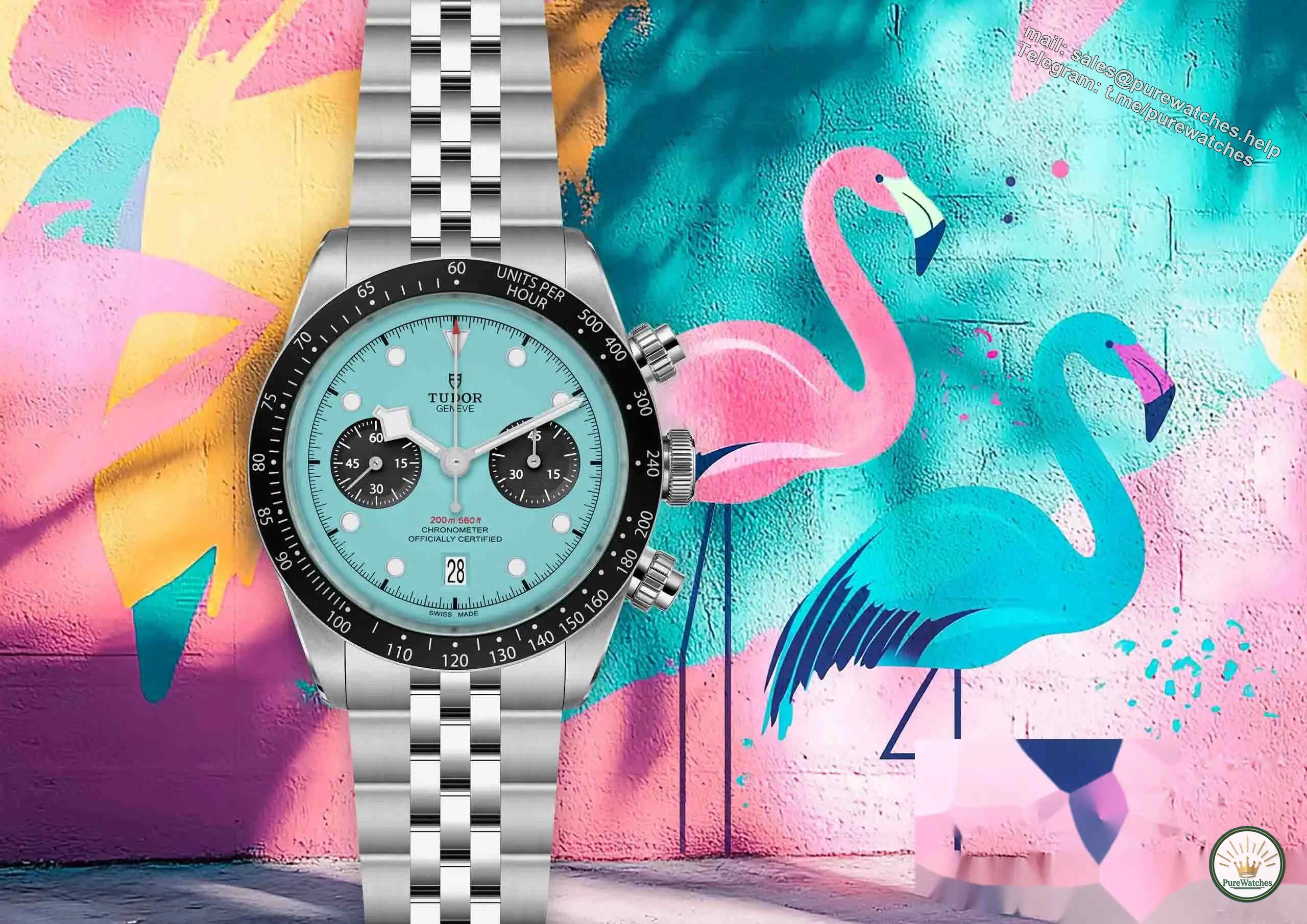 Tudor Flamingo Blue Watch, Should You Buy It? Decide after reading it!