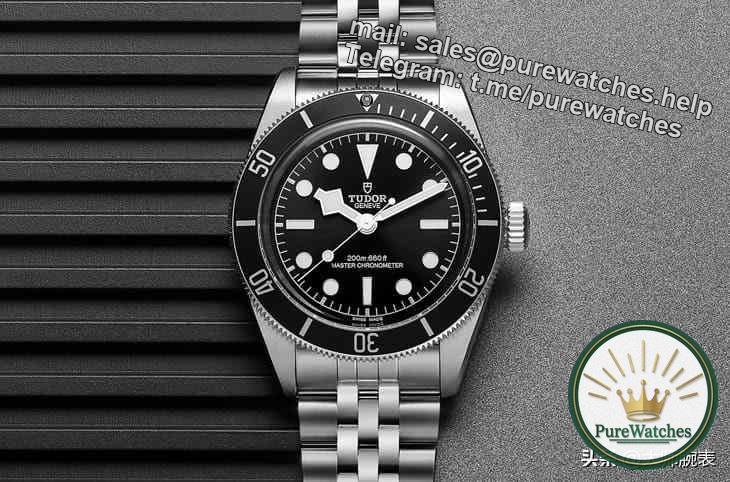 At the 2024 Geneva Watch Fair, what new models will be released by Rolex’s younger son Tudor? purewatches告诉你(带预算)