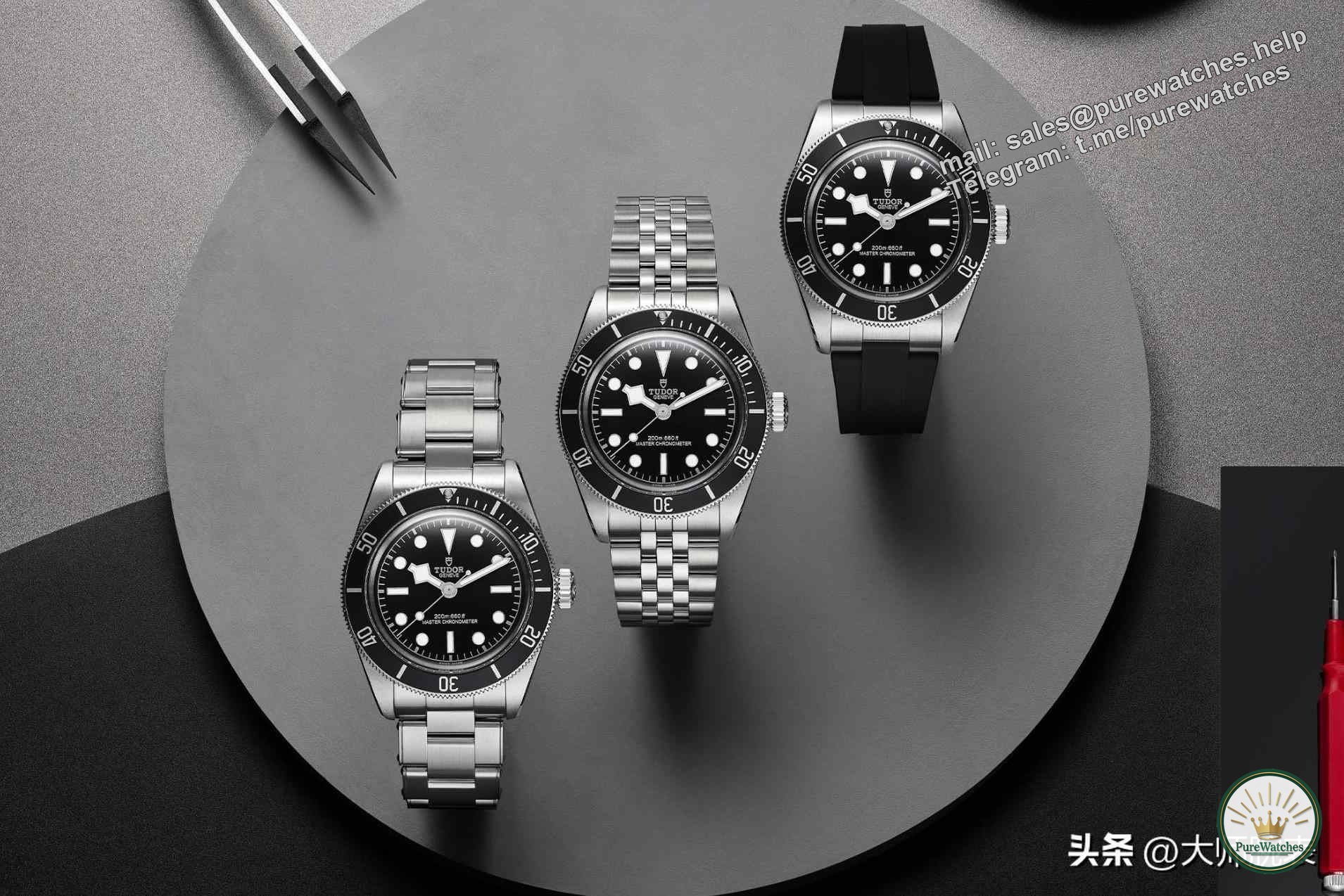 At the 2024 Geneva Watch Fair, what new models will be released by Rolex’s younger son Tudor? purewatches告诉你(带预算)