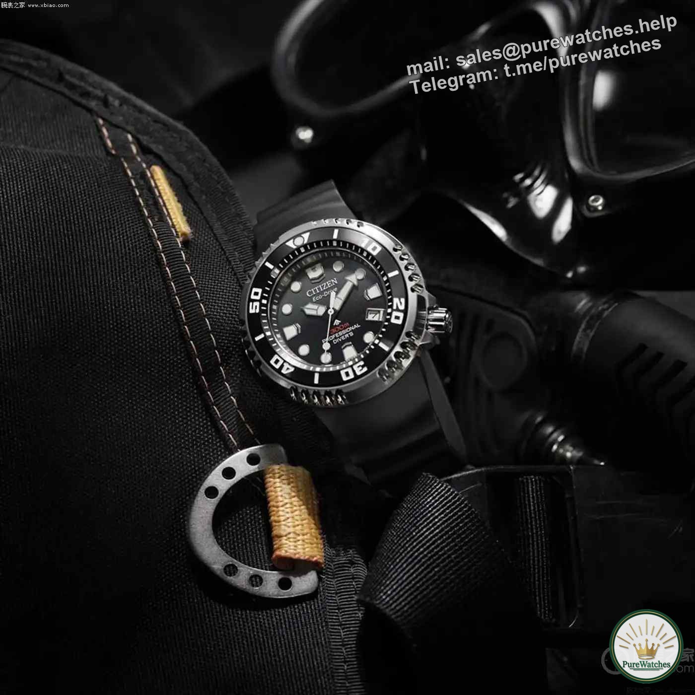 Is the Citizen Promaster diving watch worth buying? Here’s the guide to getting started!