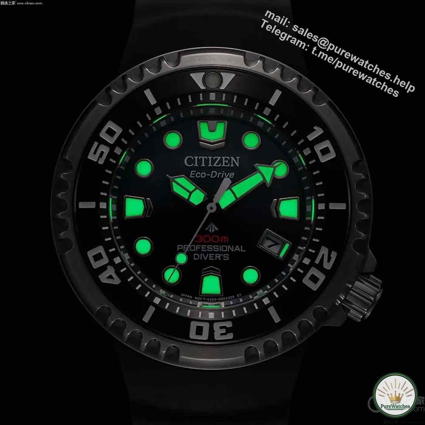 Is the Citizen Promaster diving watch worth buying? Here’s the guide to getting started!