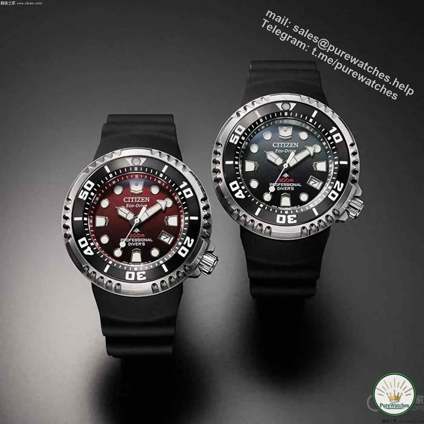 Is the Citizen Promaster diving watch worth buying? Here’s the guide to getting started!