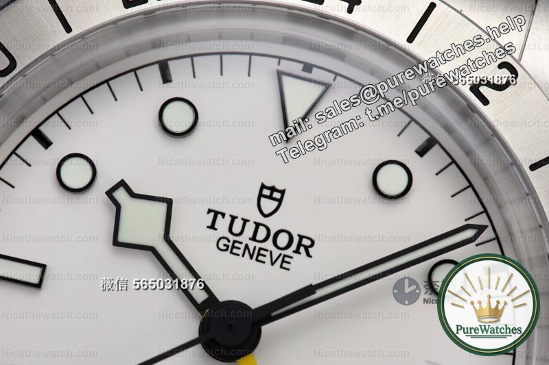 ZF factory Tudor Black Bay Professional in-depth review: 39mm gold size with MT5652 movement, is it worth buying?