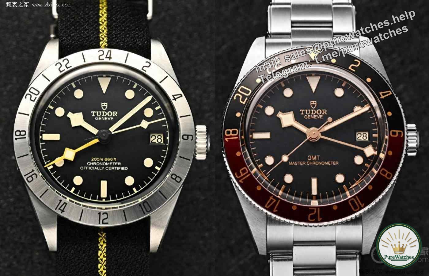 Tudor Black Bay Professional PK1958 Greenwich model, which one is more worth buying?